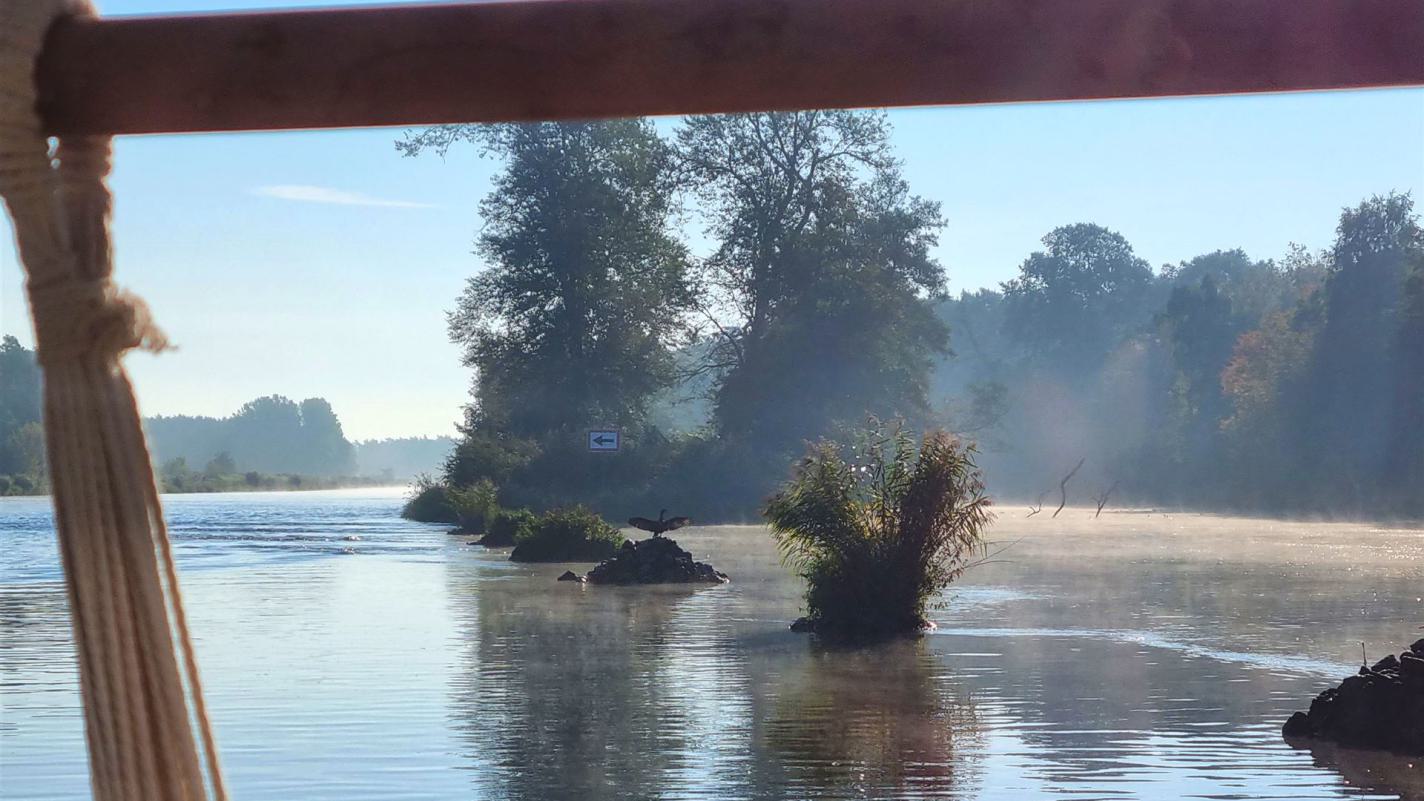 Landschaft rund um die Müritz